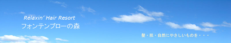 SKY11jpg.jpg